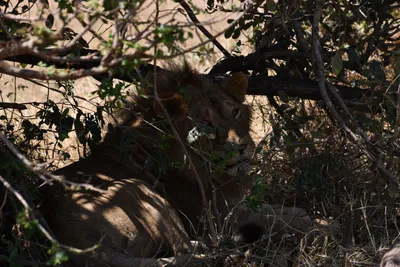 DSC_3564 (Large).JPG